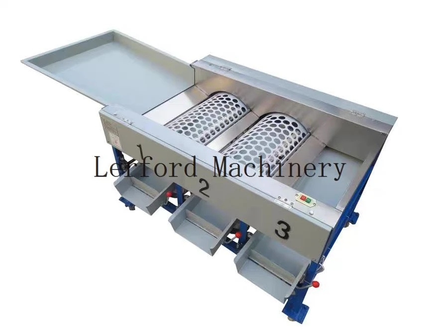Sorting Fruit Machine