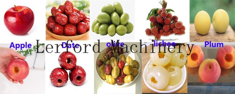 Olive Pitting Machinery