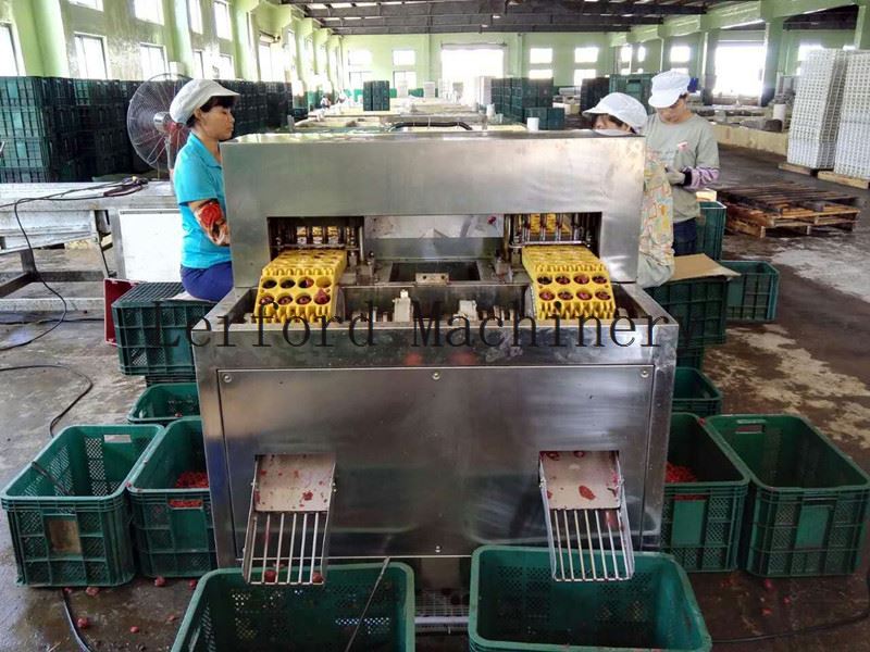 Olive Pitting Equipment
