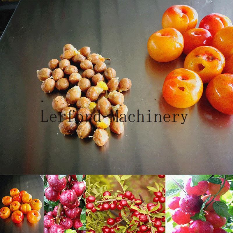 cherry pitter machine