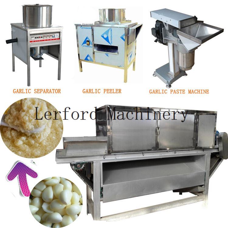 Garlic Cleaning Machine