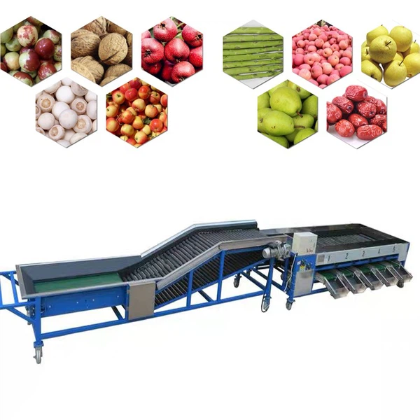 fruit separator machine fruit separator machine