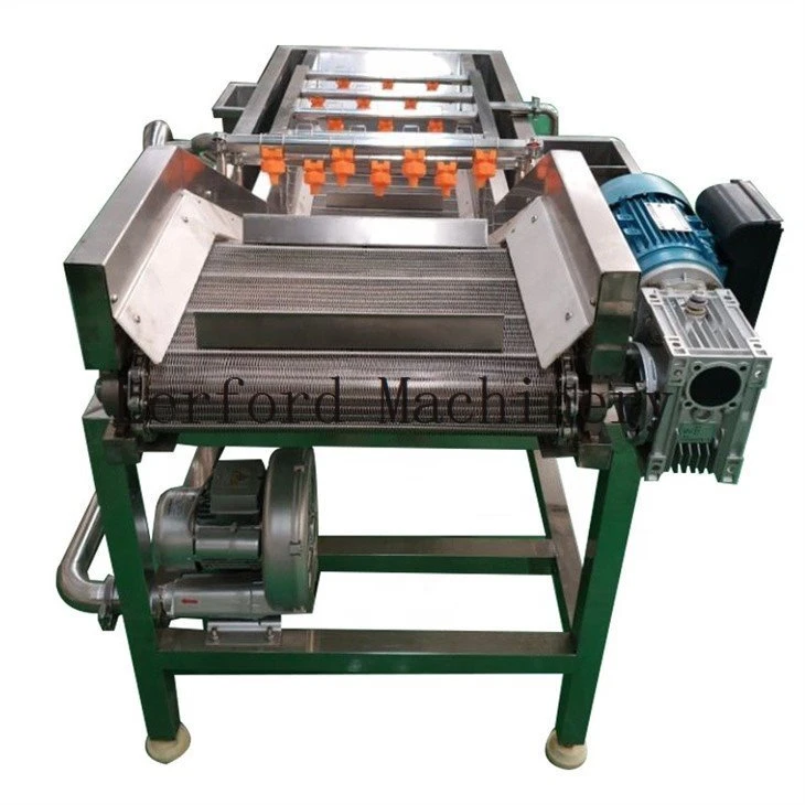 vegetable and fruit washing machine