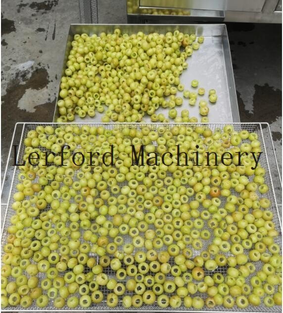 olive pit remover machine