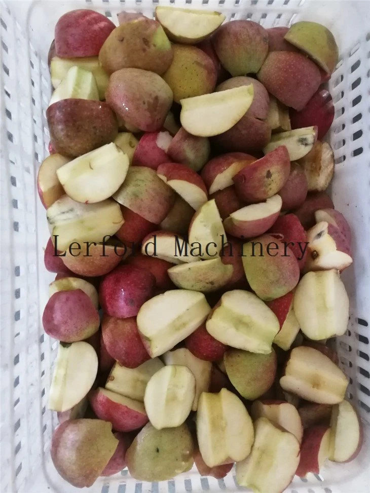cherry pitter machine