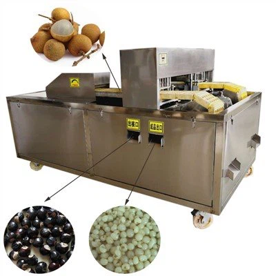 Cherry Destoner Machine