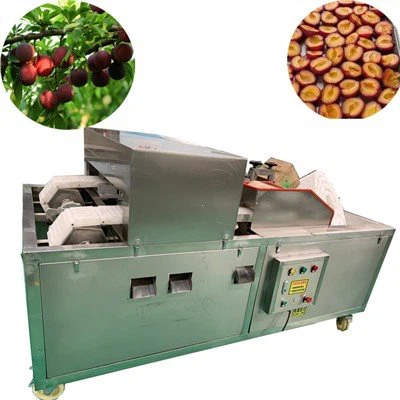 Ploomide kivide eemaldamise masin