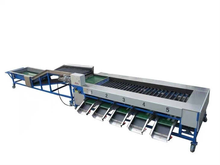 Automatic Fruit Sorting Machine