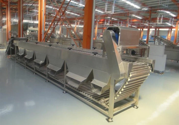 Pomegranate Sorting Grading Machine