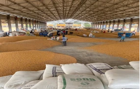 commercial grain grinder machine commercial grain grinder machine