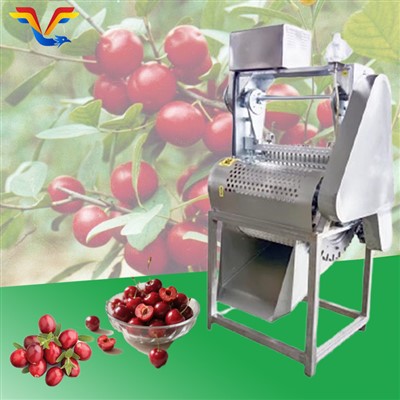 Auto Cherry Pitter